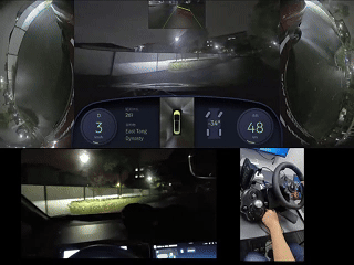 remote driving platform visual